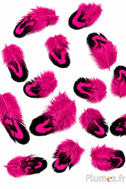 Fagiano di Reeves - 2-4 cm - fucsia